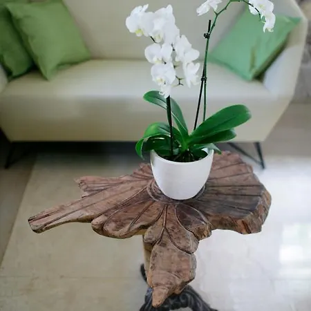 Appartement Royal Varos Split